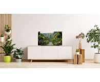 LG OLED48C21LA 4K 100Hz DOLBY VISION - 737496 - zdjęcie 12